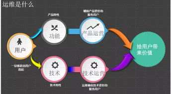 深入聊聊互联网应用运维与网络技术服务 数字世界的幕后支柱